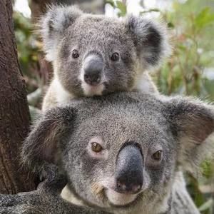 Meet your Posher, Christy